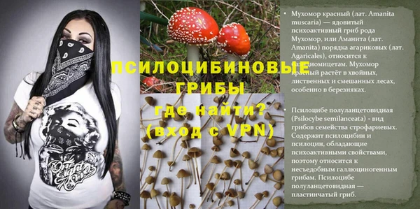 гашик Баксан