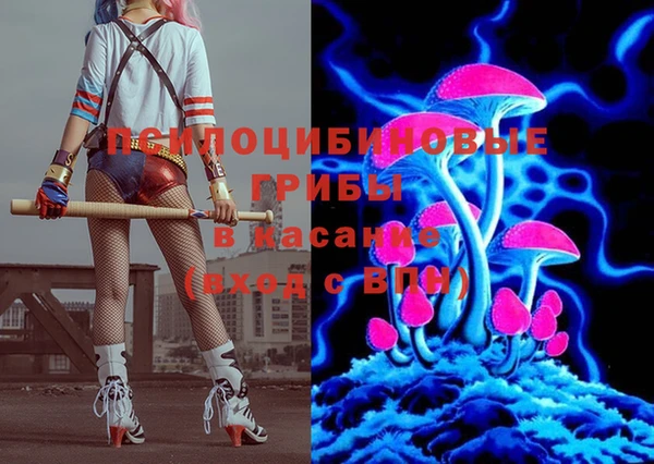 гашик Баксан