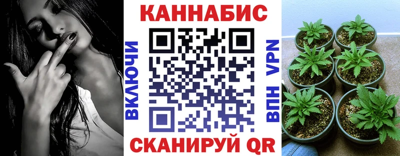 наркота  Навашино  Канабис гибрид 